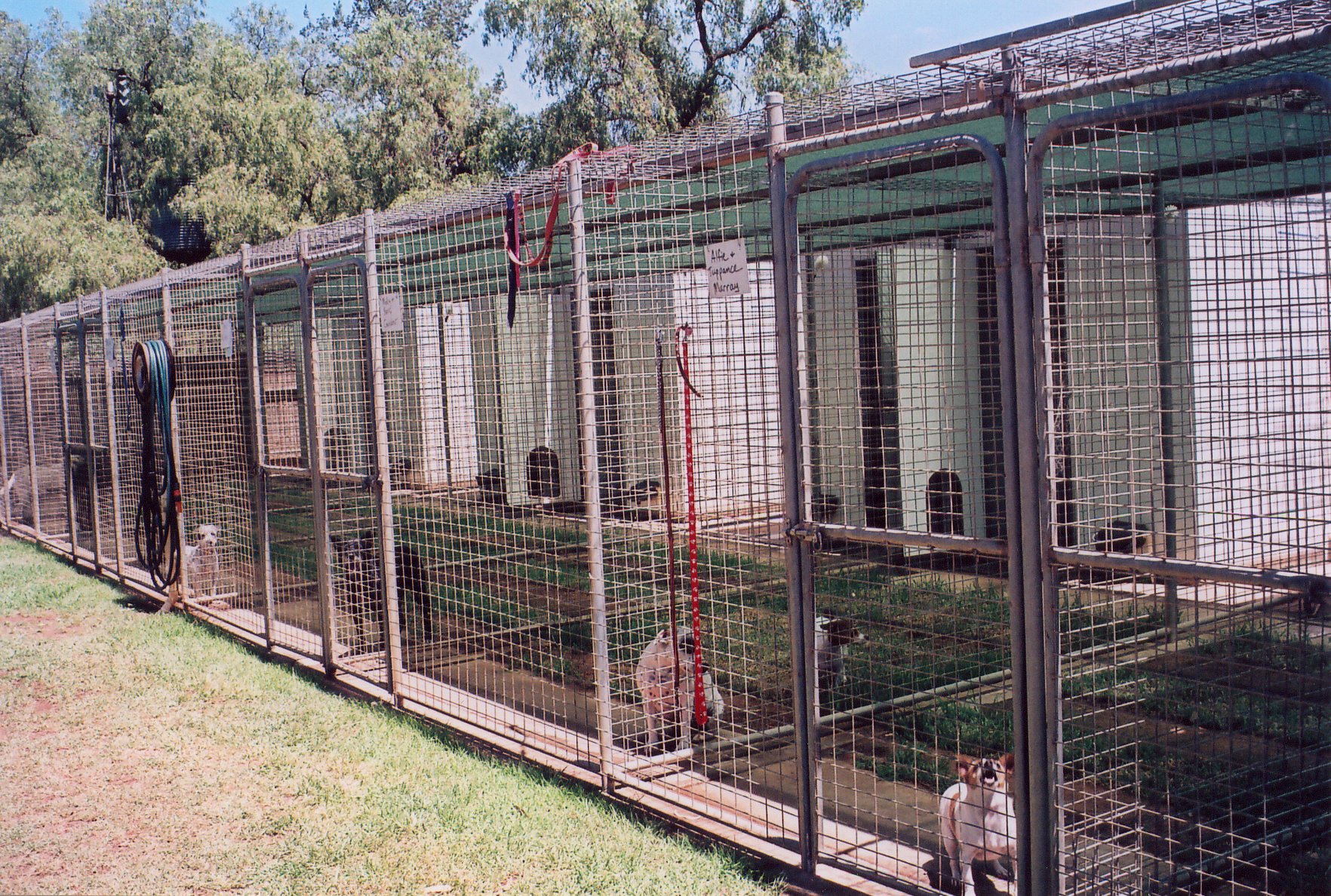 A row of fenced kennel runs